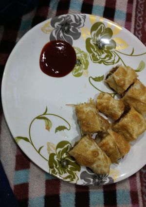 A picture of Veg roll.