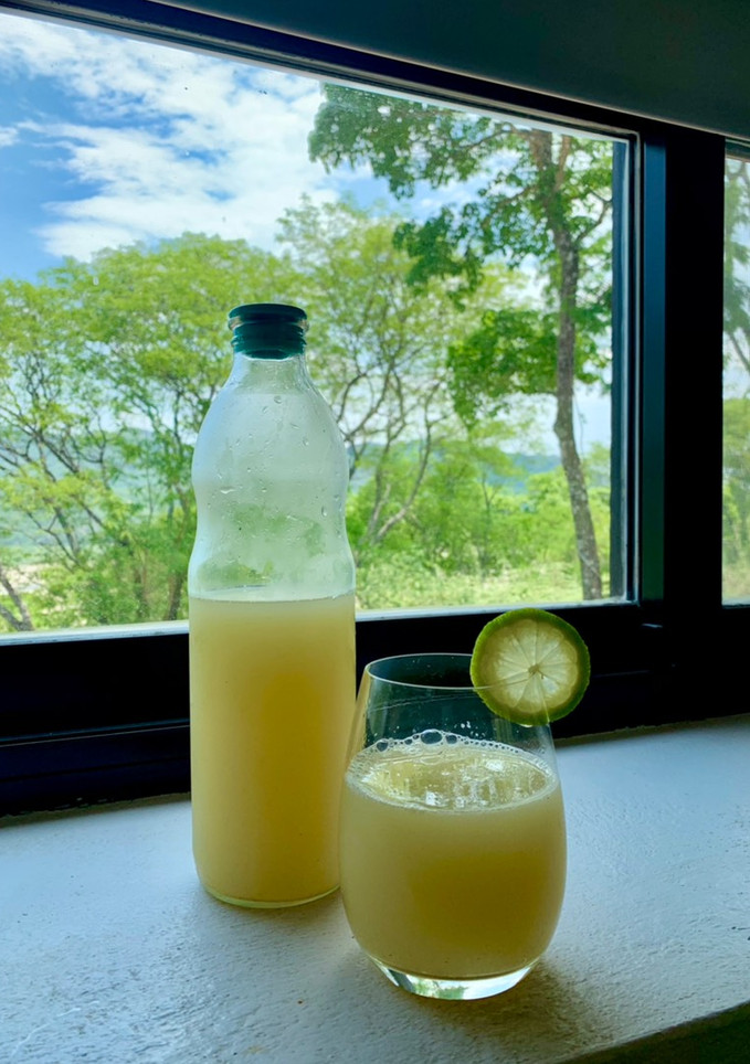 Una foto de Limonada de mi amiga Flor 🌺 🍋