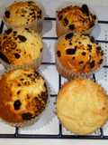 Cupcake