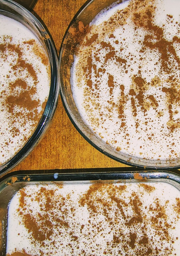 Una foto de Arroz con leche clásico