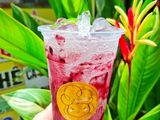 Soda việt quất