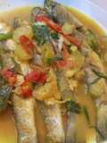 Geseng Belanak