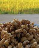 Nui chiên nước mắm