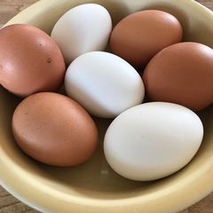 A picture of Idiot resistant hard boiled eggs.