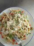 Ensalada de repollo y pollo