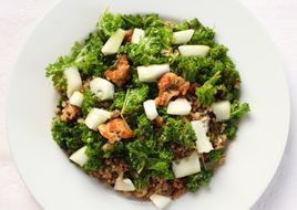 Salada de Frango Grelhado marinado com Kale, Quinoa e Pepino