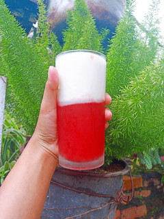 Hình của món Thạch dưa hấu sữa tươi.
