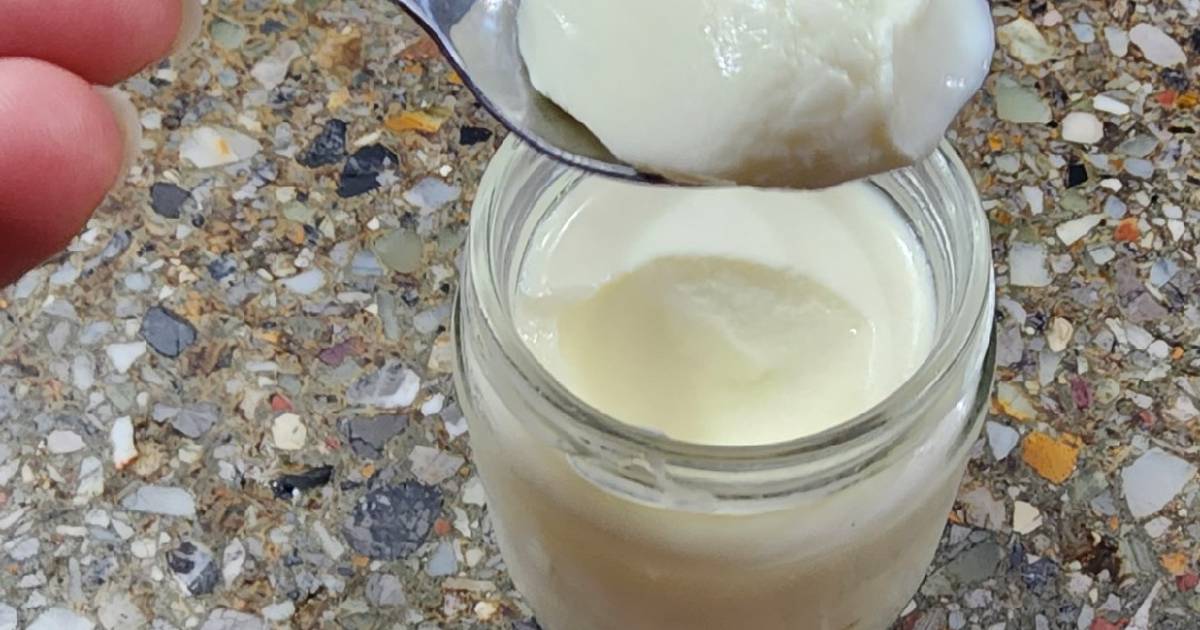 CÓMO hacer YOGURT natural /🥛 casero SIN LACTOSA / GRIEGO casero ( SIN  yogurtera ) 