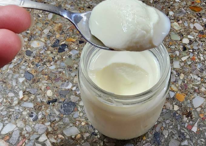 Cómo hacer yogur casero en una yogurtera paso a paso