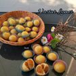 Nastar Lumer