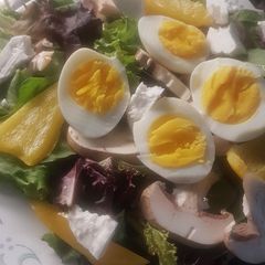 A picture of Garden salad with apricot dressing.