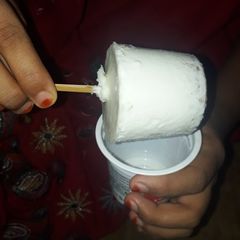A picture of Homemade malai kulfi.