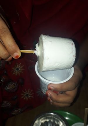 A picture of Homemade malai kulfi.