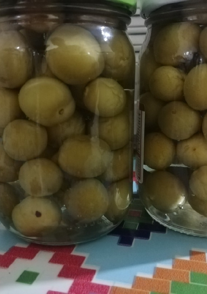 عکسی از دستور ترشی آلوچه سبز