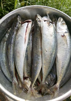 Foto resep Ikan pindang ala akooh