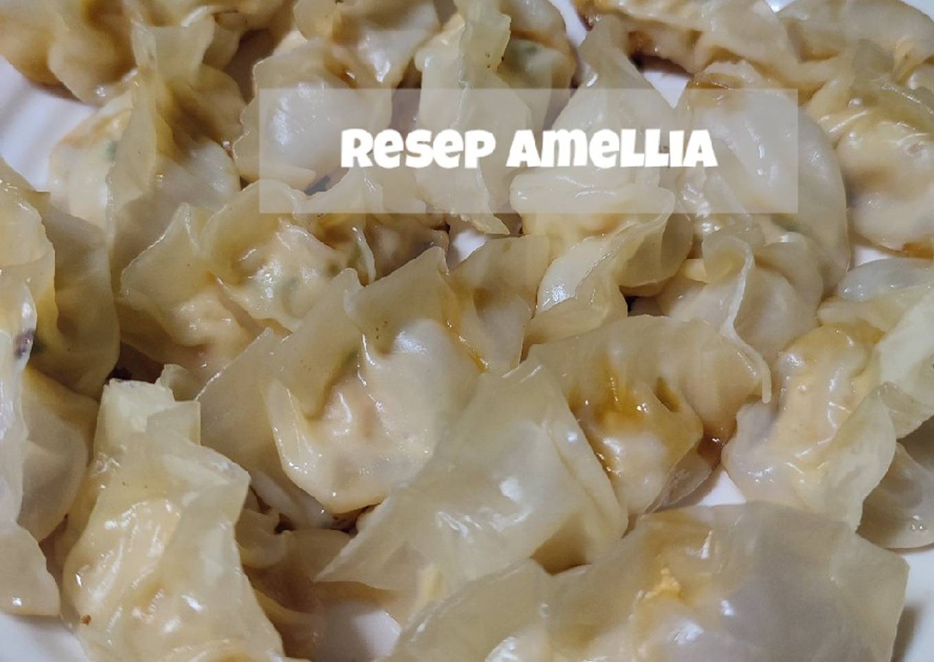 Gyoza ayam sayur endolita