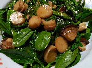Foto resep Tumis daun ginseng king oyster