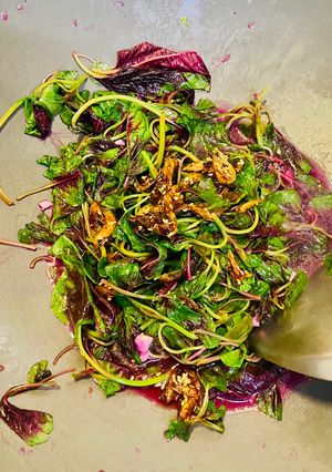 櫻花蝦魚酥炒紅杏菜 的食譜成品照片