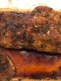 Costillar al horno