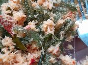 Gambar urap latoh