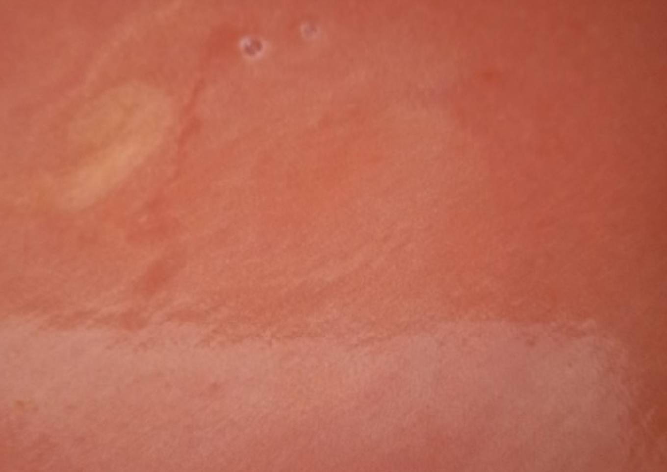 Gazpacho andaluz (con Thermomix)