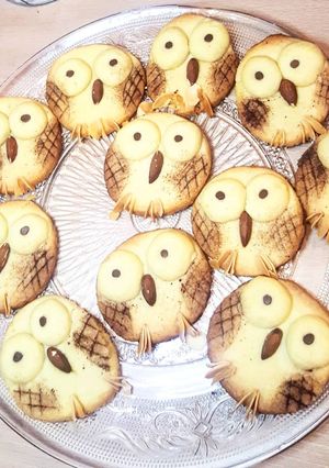 Une photo de Biscuits hiboux