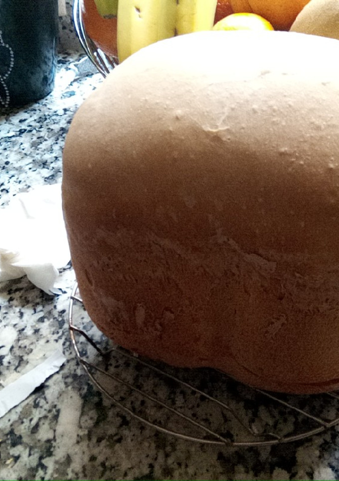 Una foto de Pan esponjoso panificadora Princess