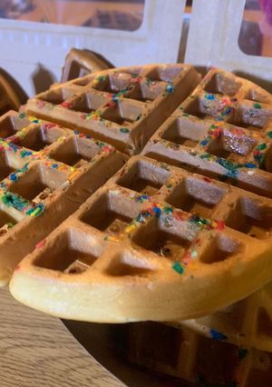 Una foto de Waffles con chispitas 🧇
