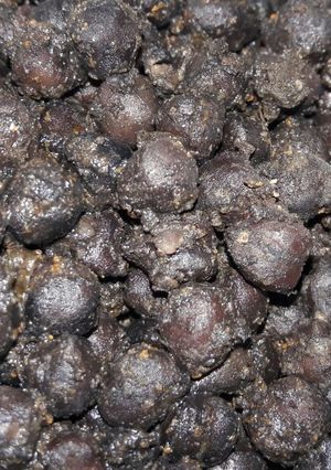 A picture of Healthy Black Chickpeas(Besani chole).