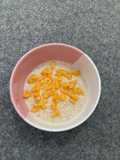 Oat Nangka