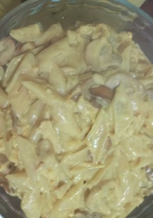 عکسی از دستور پاستا آلفردو (پنه)