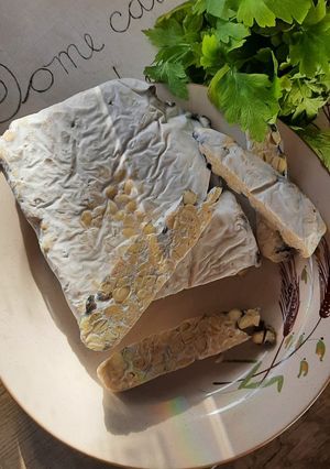 Una foto de Tempeh
