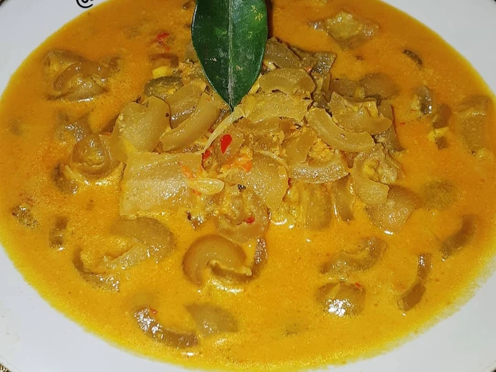 Cara Gampang Membuat Resep Gulai Padang Kikil Sapi Anti Ribet, Menggugah Selera