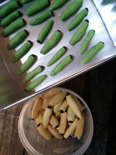 Foto resep Kue ulat sagu