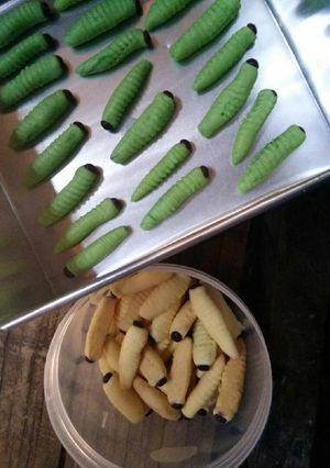 Foto resep Kue ulat sagu