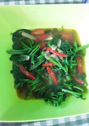 Foto resep Tumis Selada Air