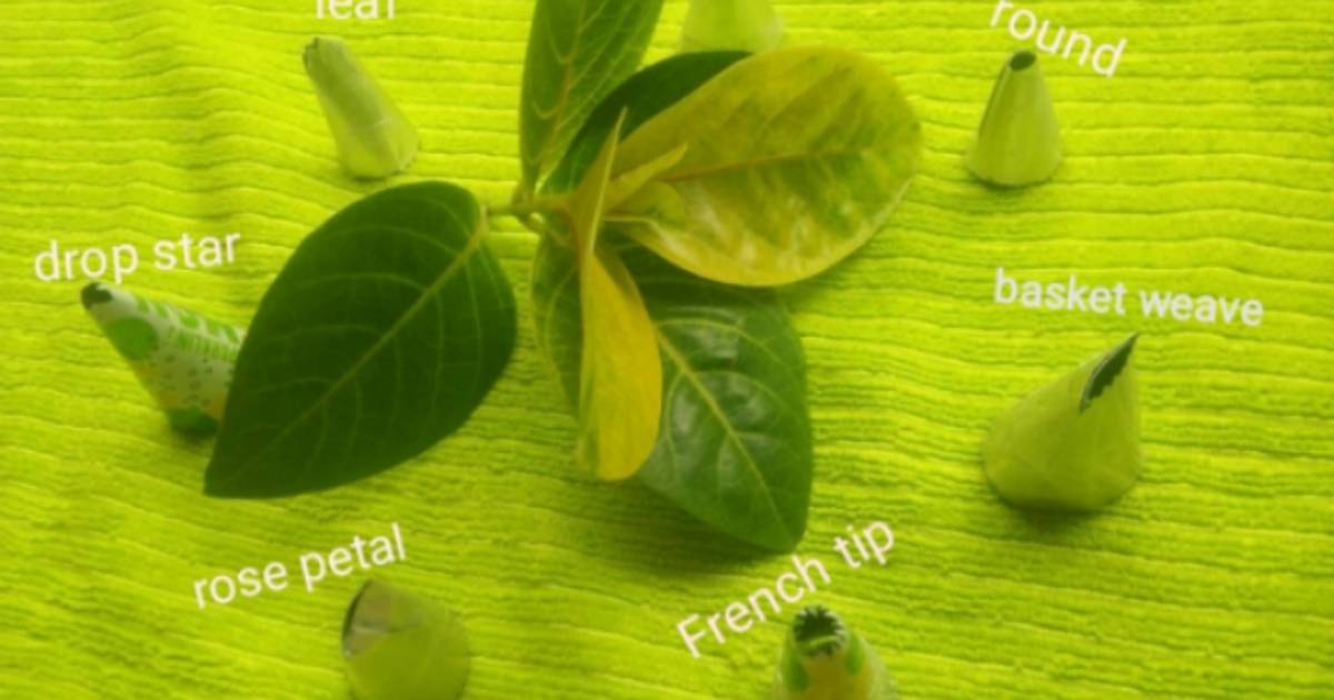 Homemade piping bag & Nozzles Recipe by Sameenas Cookpad