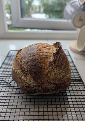 A picture of Sourdough Bread x 2, Black Treacle & Rapeseed Oil, 71% Hydration. Workers schedule plus 6 x ciabatta.