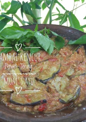 Foto resep 156. Sambal Kencur Terong