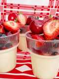 Pannacotta con Frutos Rojos 🍒🍓