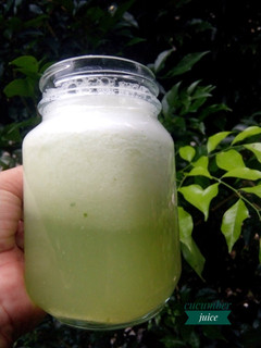 Foto resep Jus Mentimun