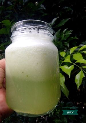 Foto resep Jus Mentimun