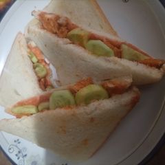 A picture of Chicken Tikka chunks sandwich.
