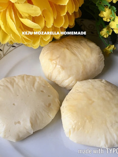 Foto resep Keju Mozarella Homemade