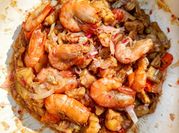 Gambar bunga kecombrang udang