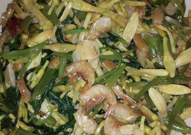 Langkah Mudah untuk Menyiapkan Cah kangkung udang yang Bisa Manjain Lidah