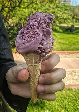 Una foto de Helado de malbec