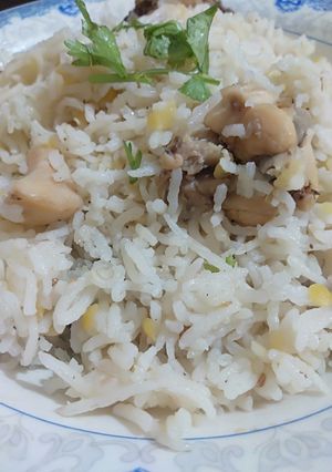 A picture of Khichari..