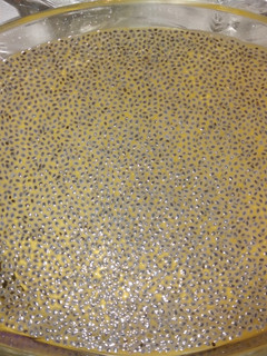 عکسی از دستور ژله تخم شربتی