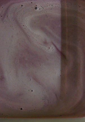 A picture of Pomegranate Mint Granita.